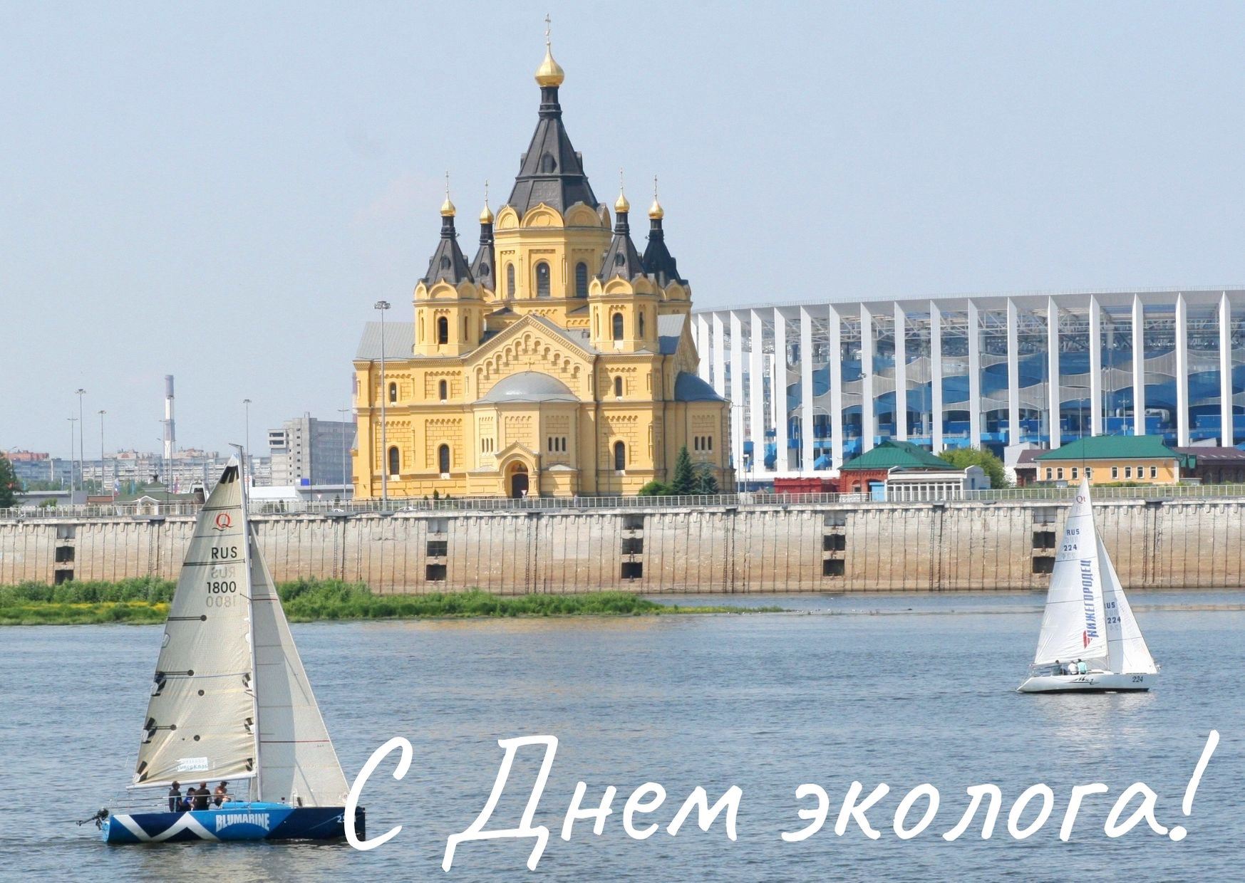 С Днем эколога!